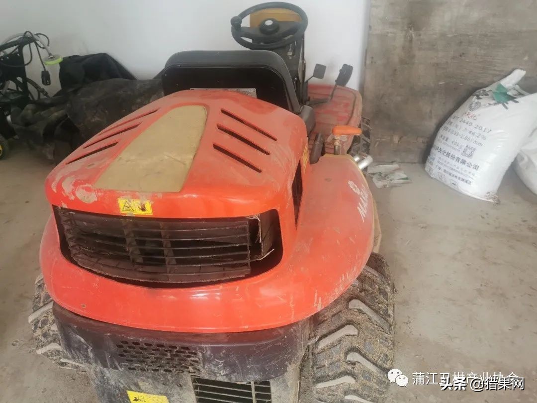 阳光一号柑橘裂果,阳光一号如何防治裂果