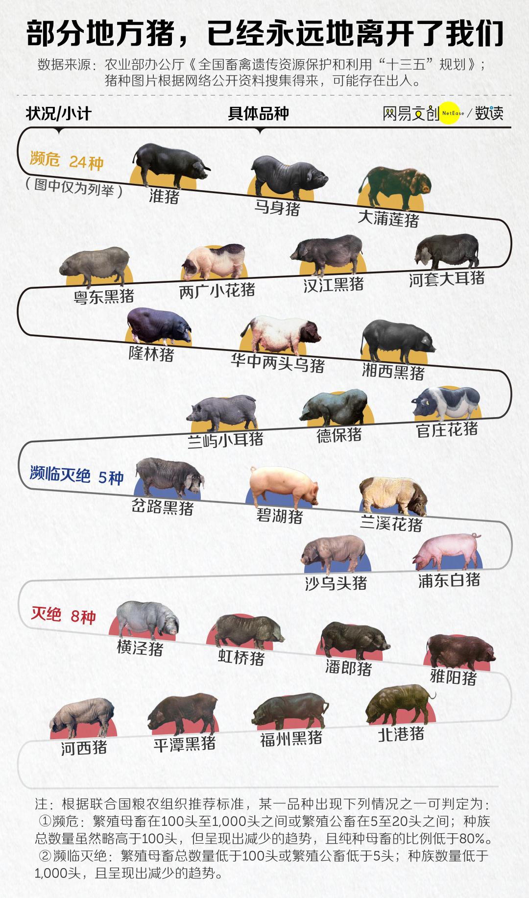 猪肉不香怎么回事啊,猪肉不香特别腥是有问题吗