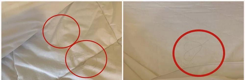 如家七天汉庭,如家7天速8