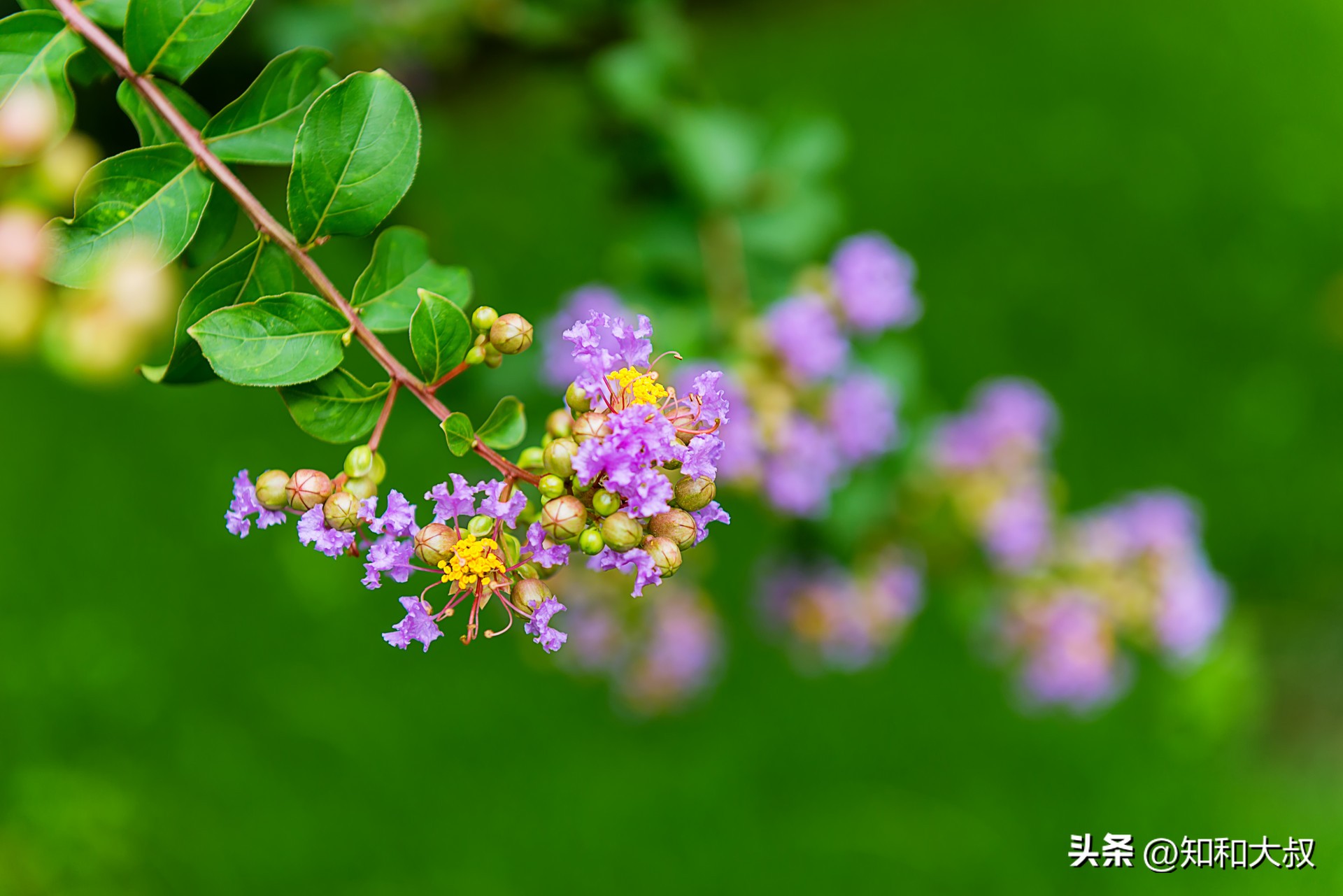 一个幸福女人的六个习惯,一个女人的幸福三大条件