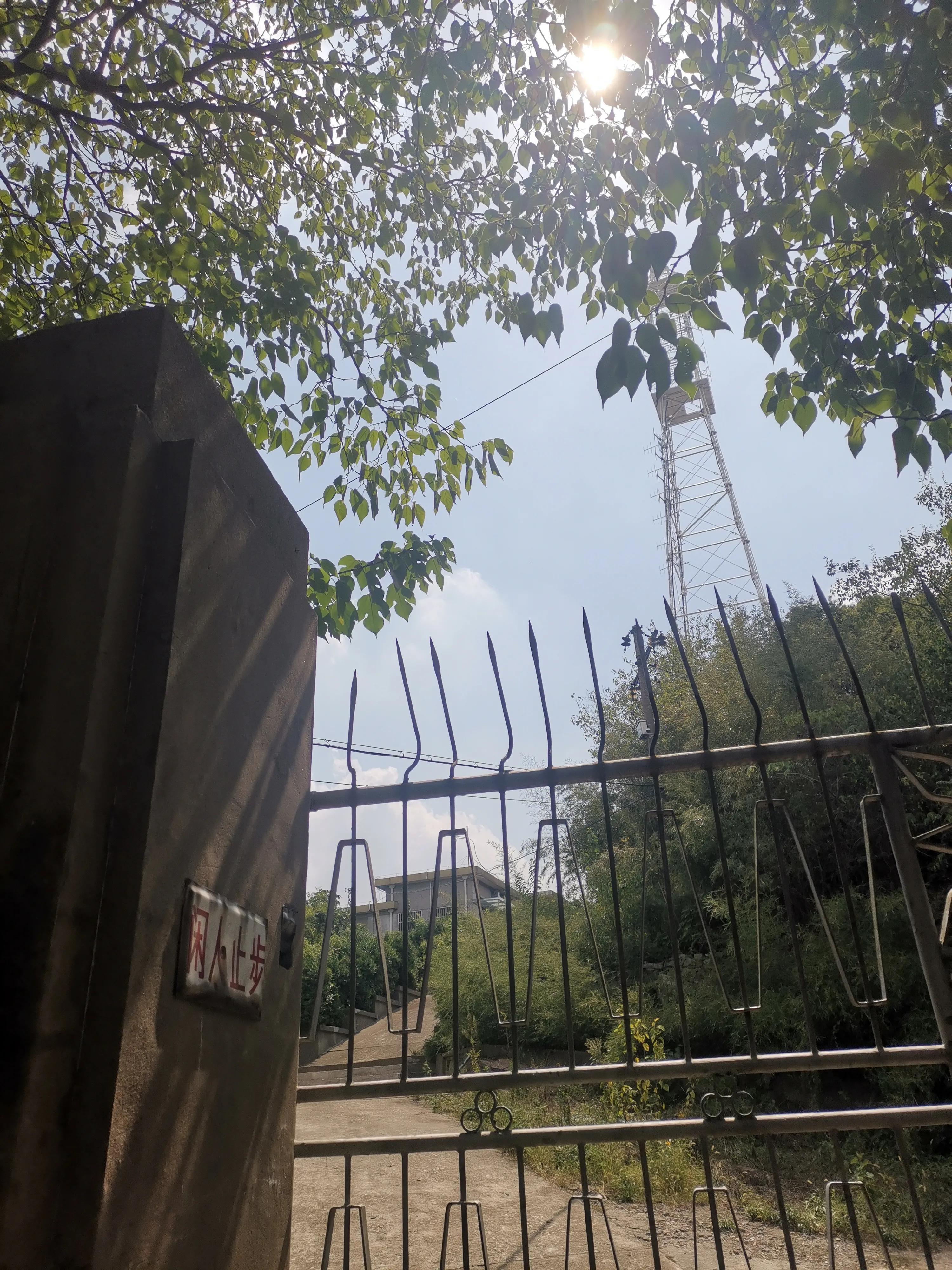 南京出发到镇江一日游跟团多少钱,南京去镇江旅行攻略路线