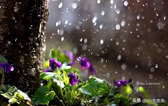 带你深透理解spring,关于spring的词汇