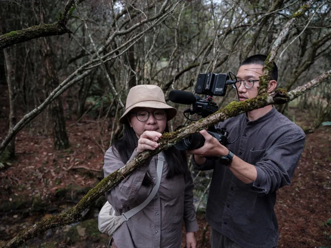 关于顶流如何崛起,曾经的顶流真的过时了吗