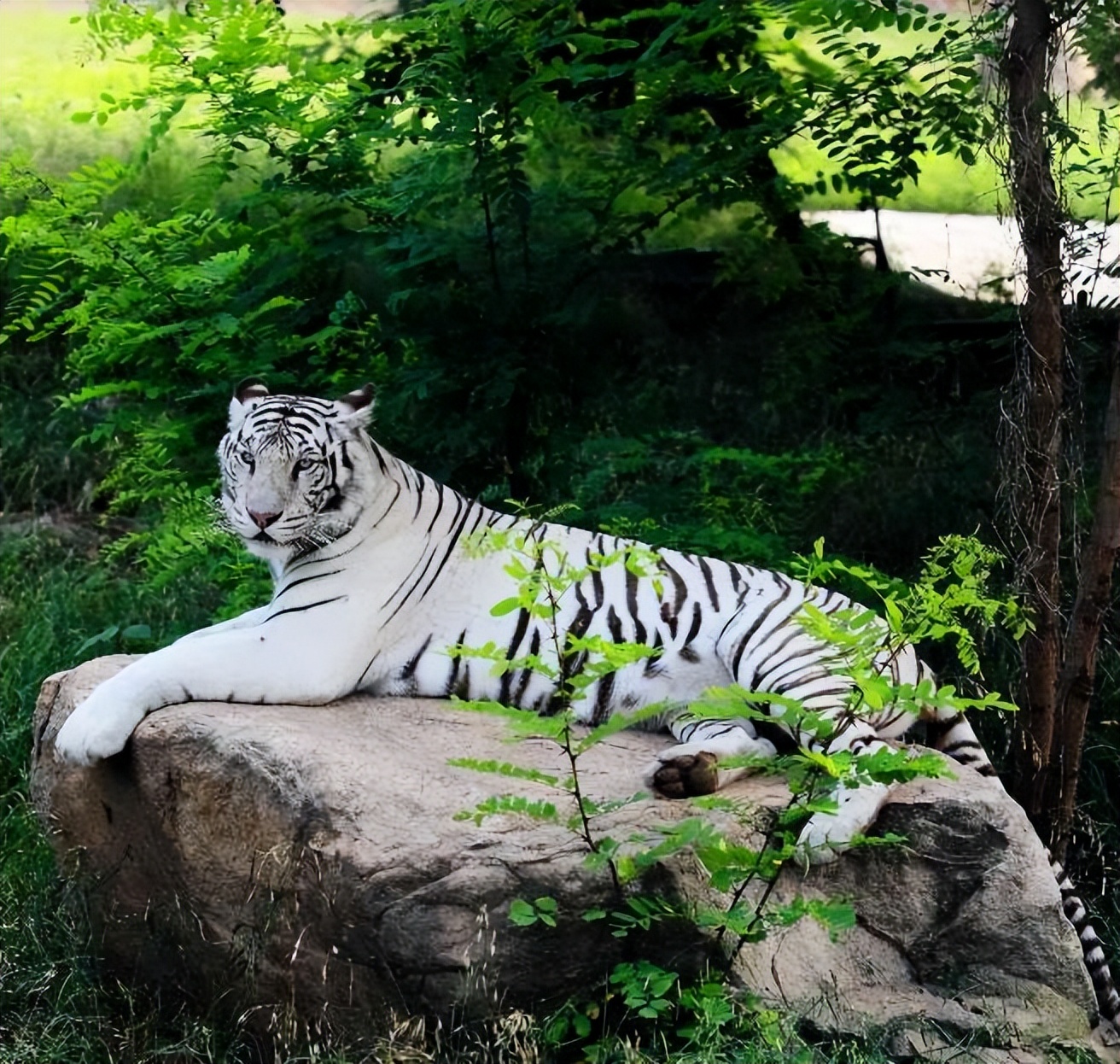 西安旅游攻略详细学生,学生西安旅游攻略最新