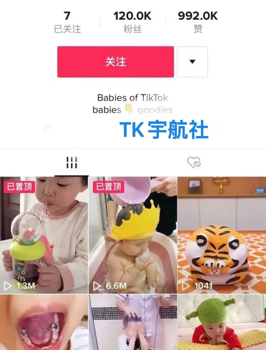 tiktok怎么给账号打标签,tiktok如何修改账号标签