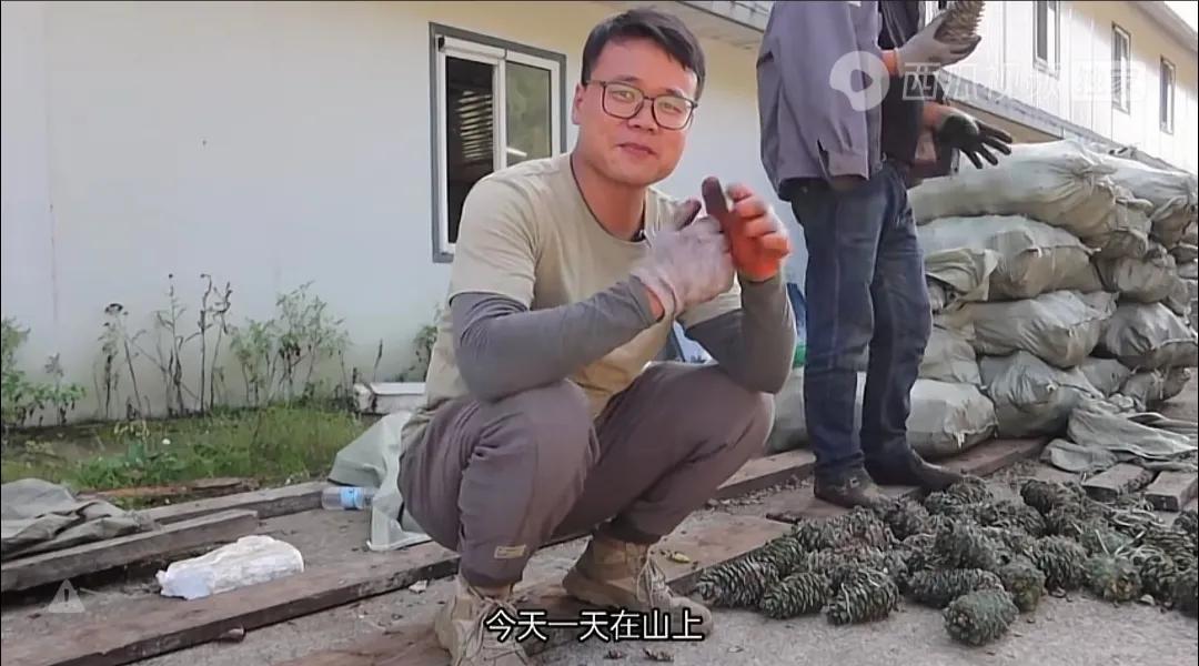 旅行自媒体开什么车最好,旅行自媒体优势劣势实例