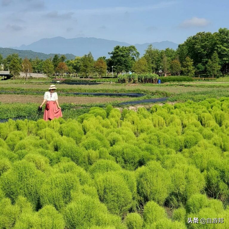 宜兰旅游攻略景点推荐理由,宜兰县一日游攻略