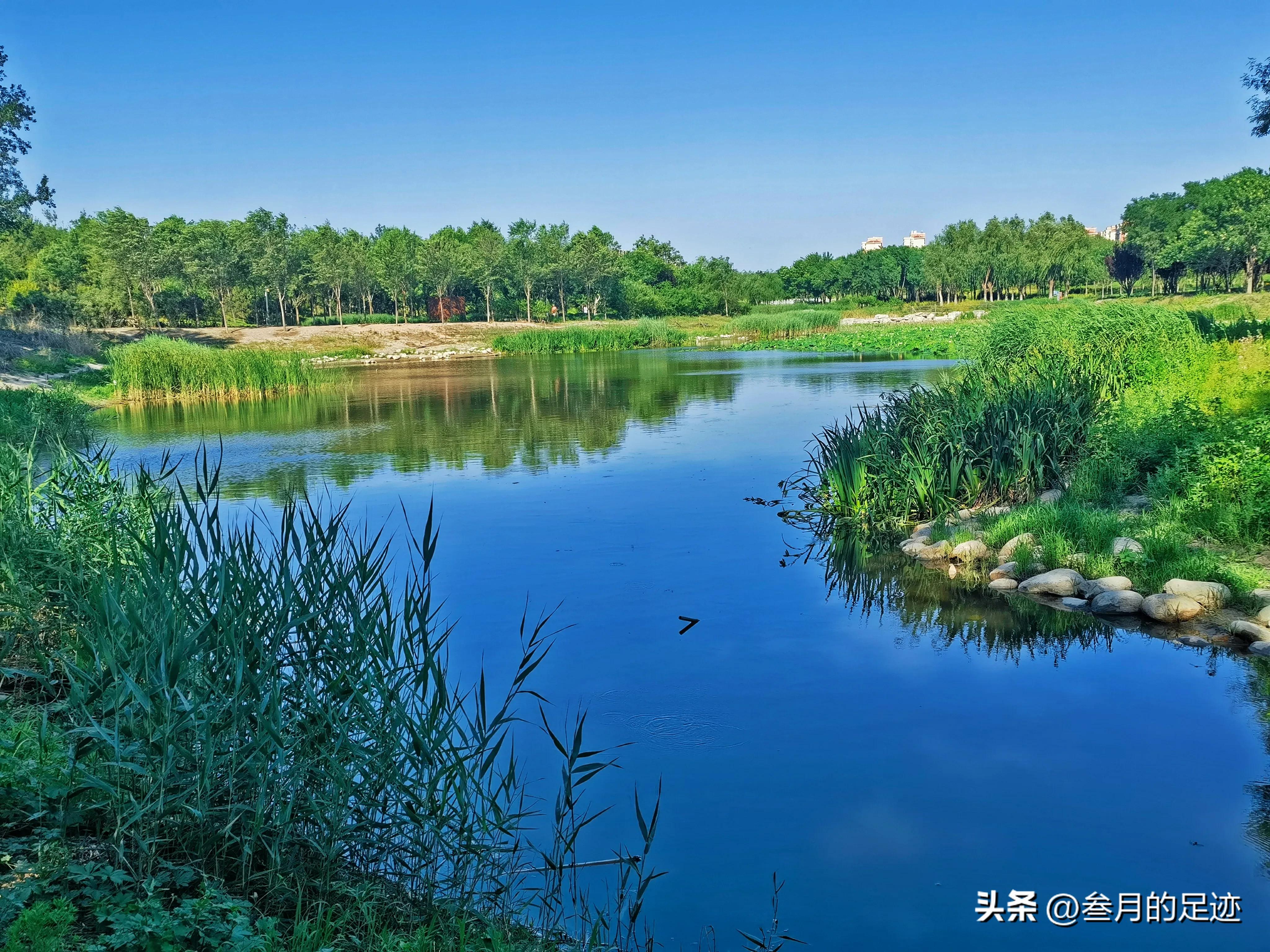 北京有哪些免费的大型公园,北京有铁道的公园