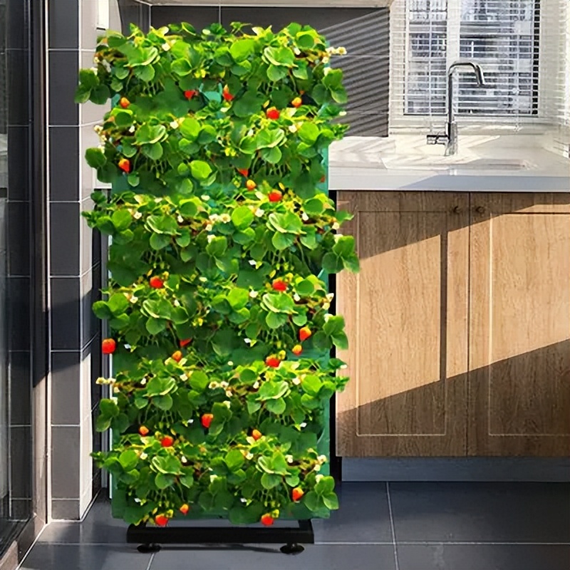 不用开店也能月入十万的生意,冷门月入50万的生意