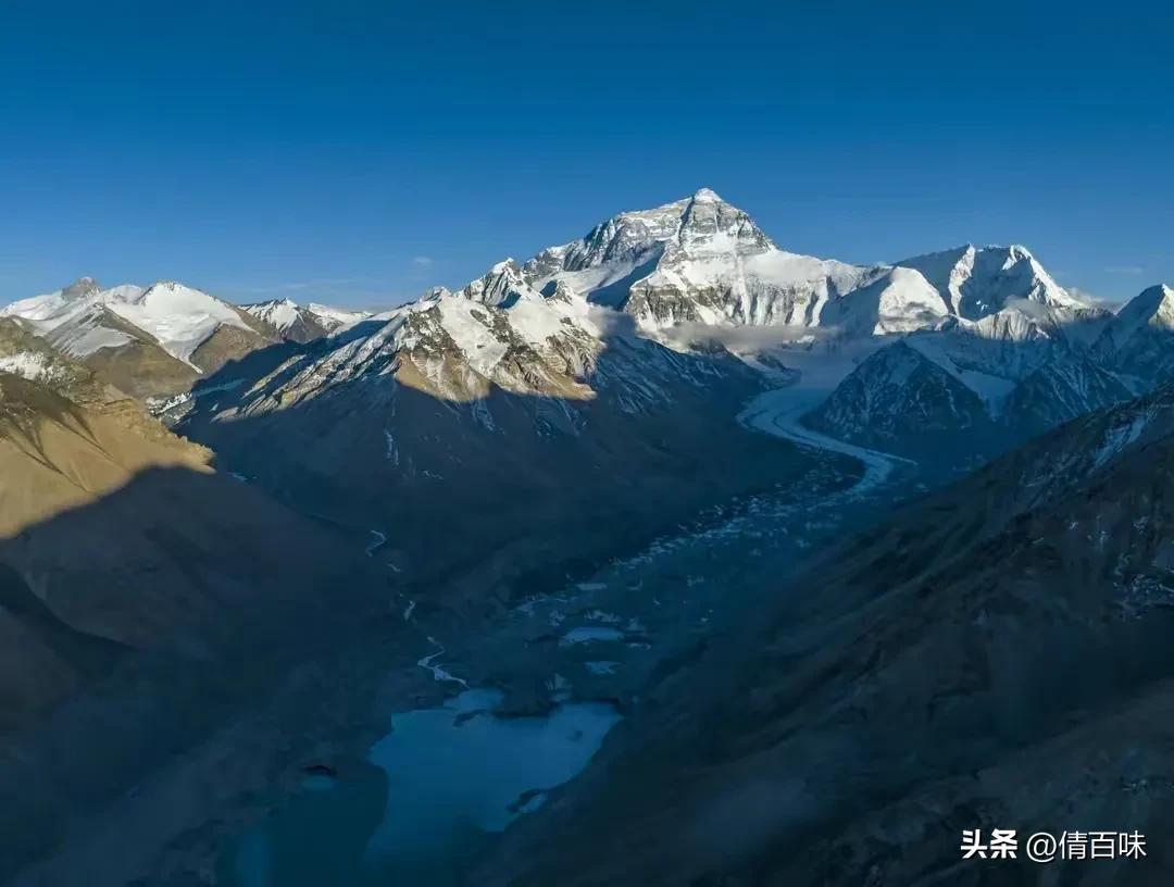 低调做人的经典语录莫言,低调做人的经典语录感悟