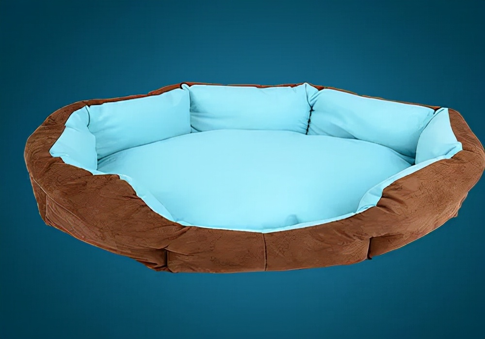 宠物疾病知识,宠物知识入门大全