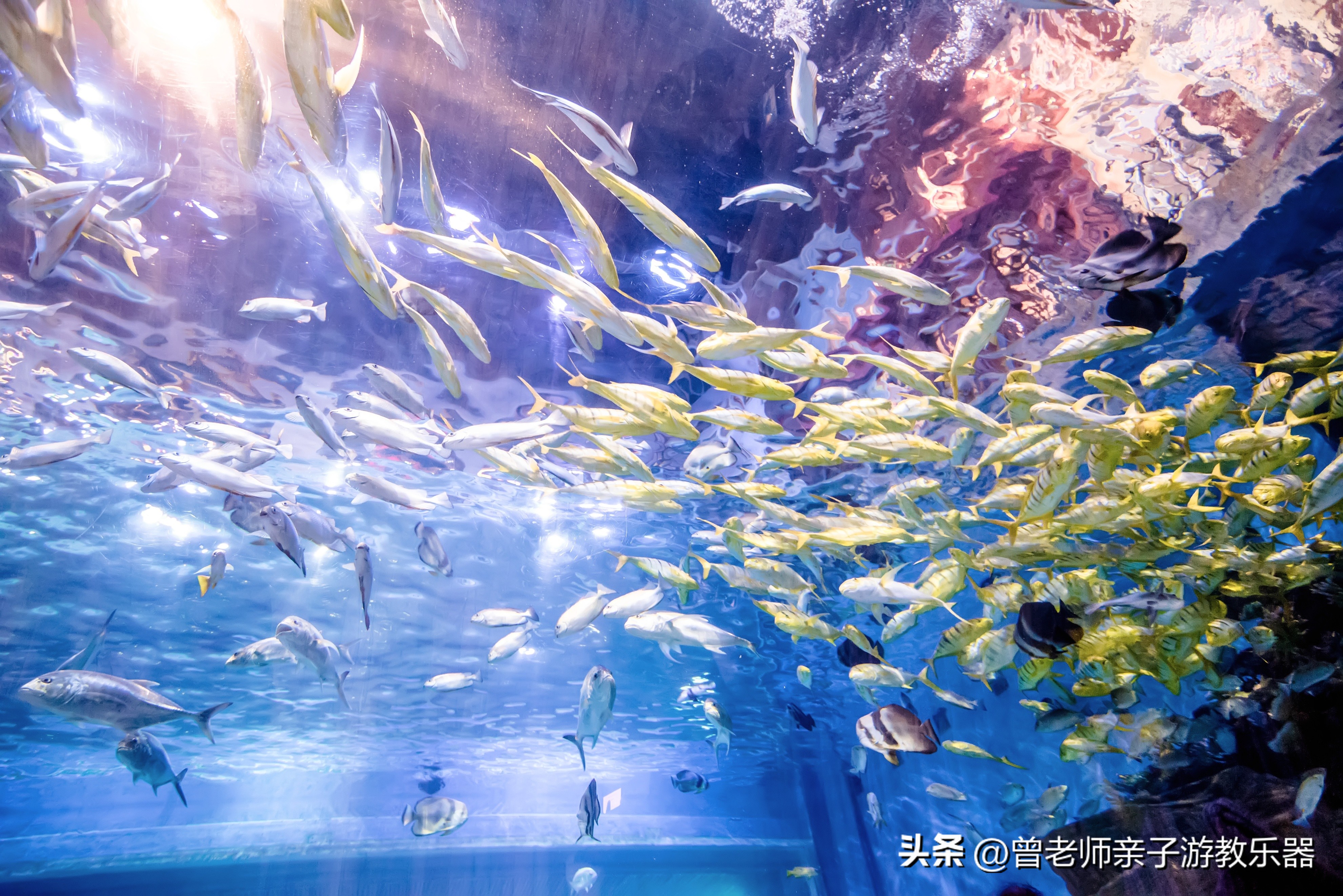 西安亲子游景点大全集,西安游玩攻略景点大全亲子