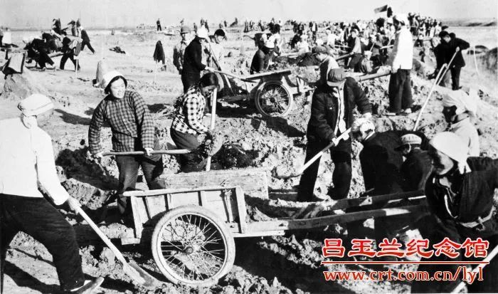 玉兰花开时，我们怀念她——闻名全国的劳动模范、农村里走出的省委书记……