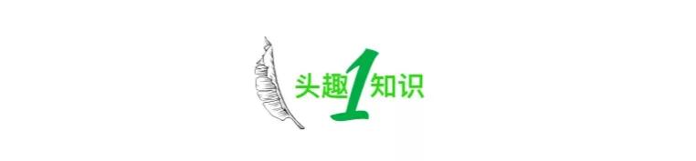 心痛！知名女明星自爆“尿*禁失**”：揭开了无数女性最羞耻的一面