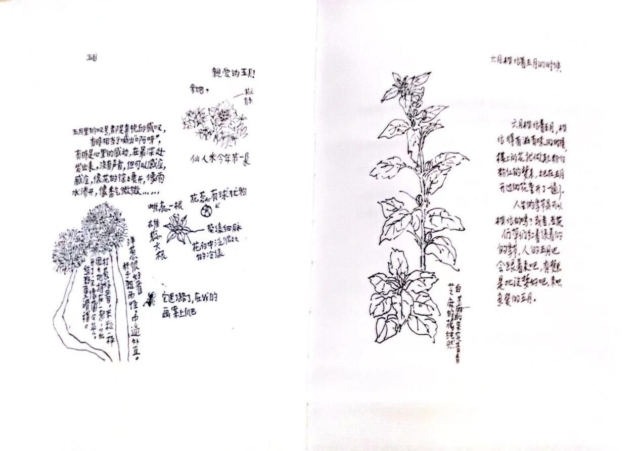 亲宝宝联合“绘本奶奶”蔡皋特推六一“梦想时间胶囊”