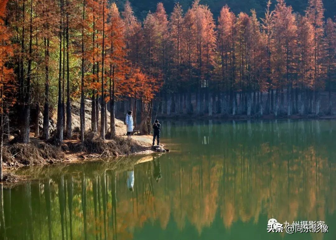 海阔凭鱼跃，天高任鸟飞---九州摄影浙江俱乐部优秀作品展