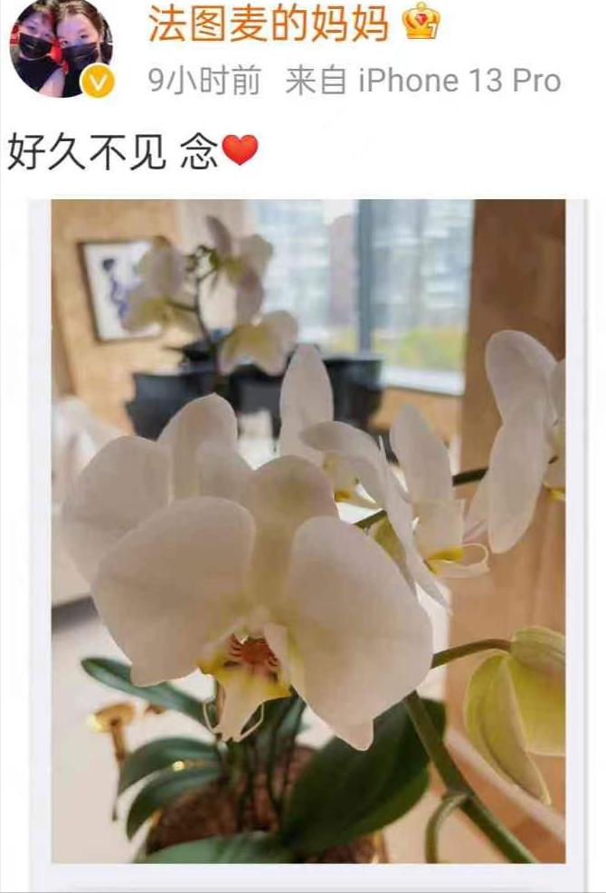 央视6位主持人因癌症英年早逝,电视台主持人得癌症的多为什么