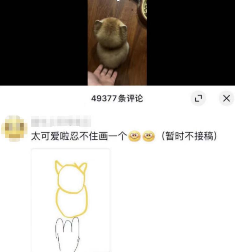 被石头划伤头有点晕,被石头磕到头流血