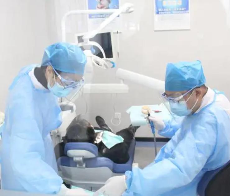 医疗保障改革最新政策文件梳理,关于医疗保障局的新政策