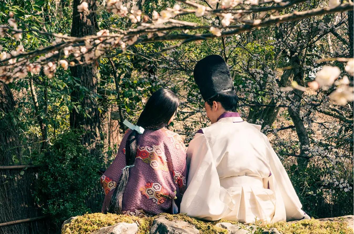 看不懂历史剧就打低分，我为NHK大河剧《镰仓殿的13人》“平反”