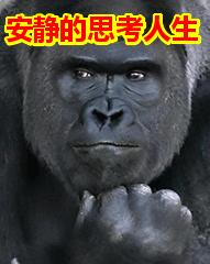 工作忙经济不够,工作忙副业