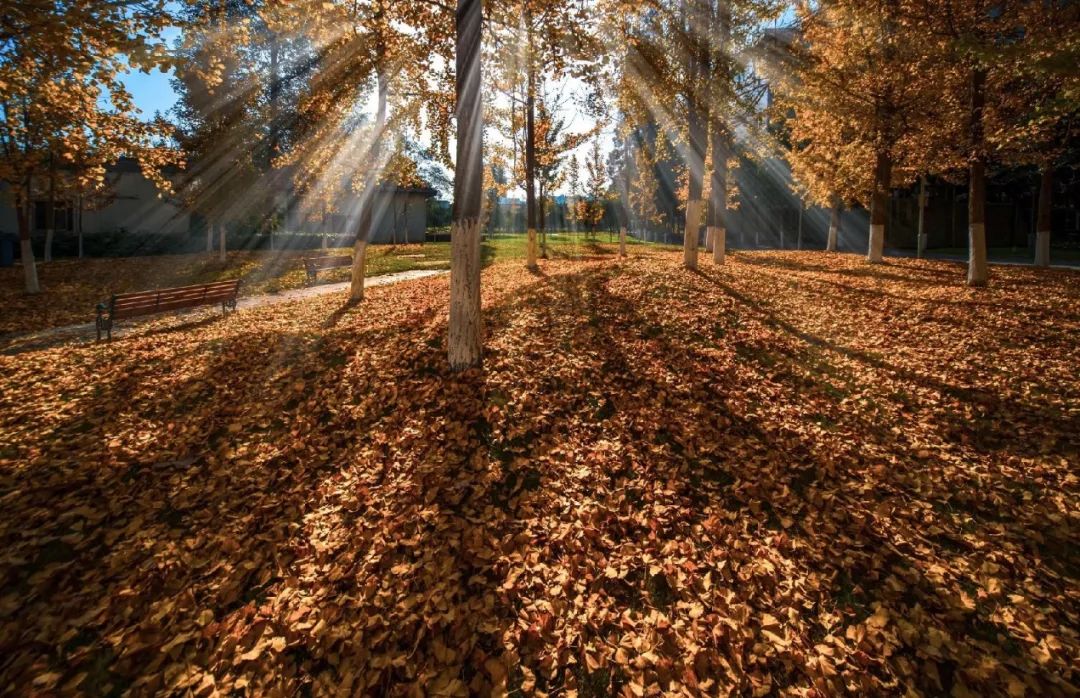 隶属国家电网的国家示范高职院校，百年底蕴，实力强劲，牛人辈出