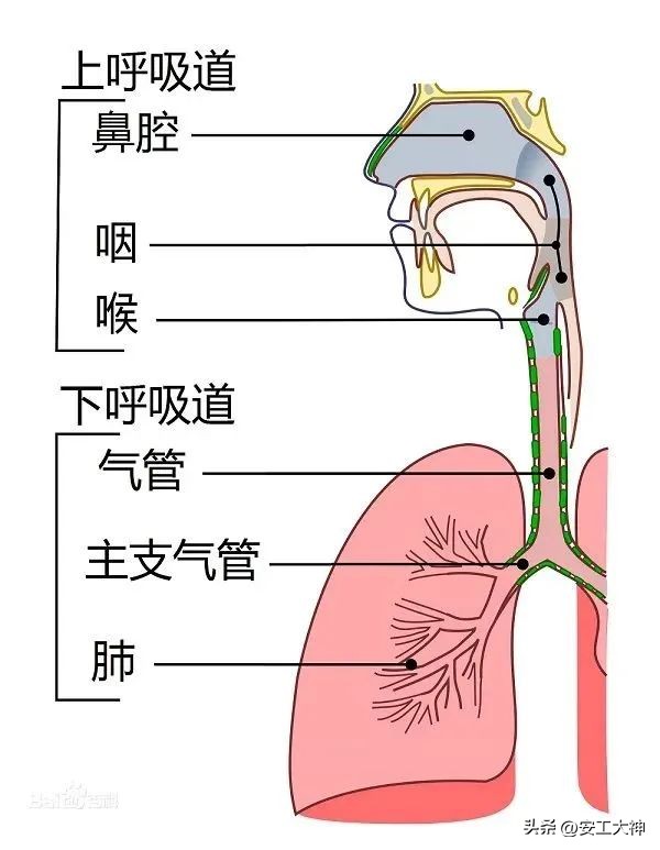 疫情正确的自我保护方式,疫情反弹注意保护好自我