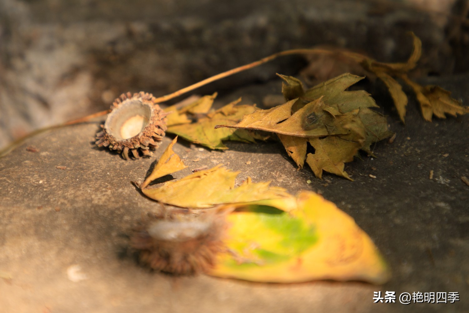 平谷老象峰风景区,北京平谷老象峰