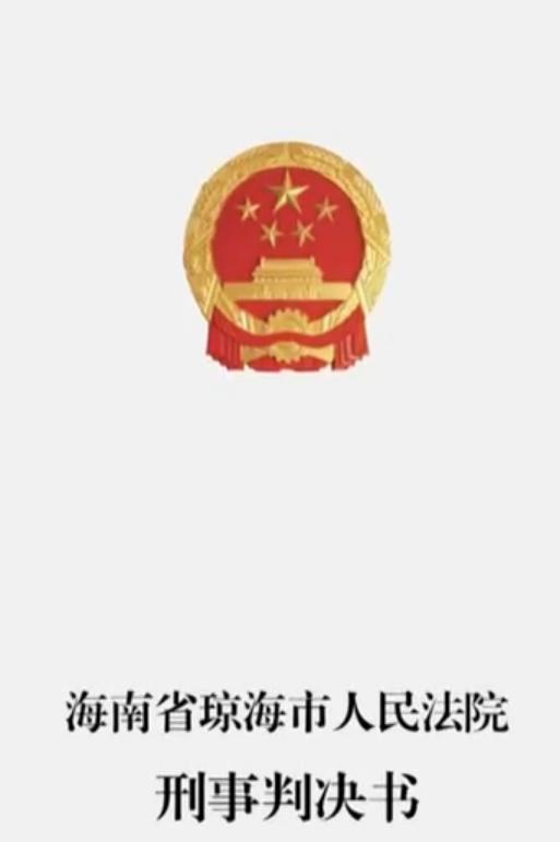 一群无业青年在海南度假被抓,海南无业游民