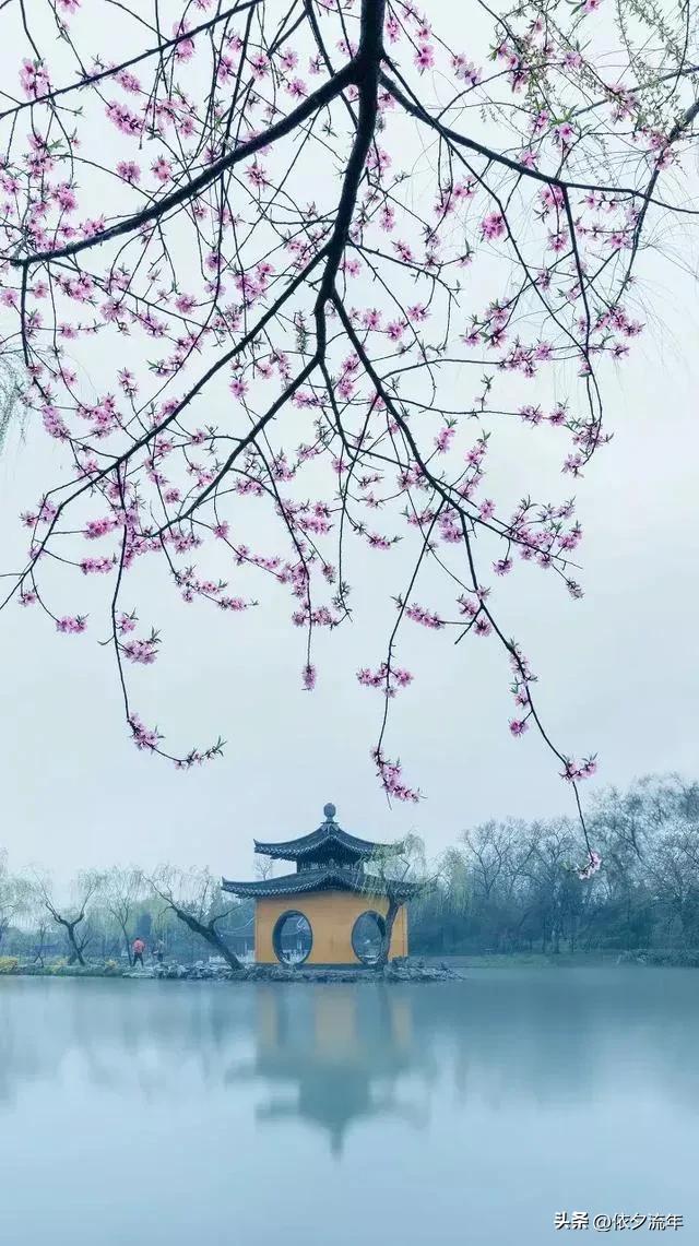 杨绛先生经典语录关于婚姻,杨绛先生经典语录关于父母