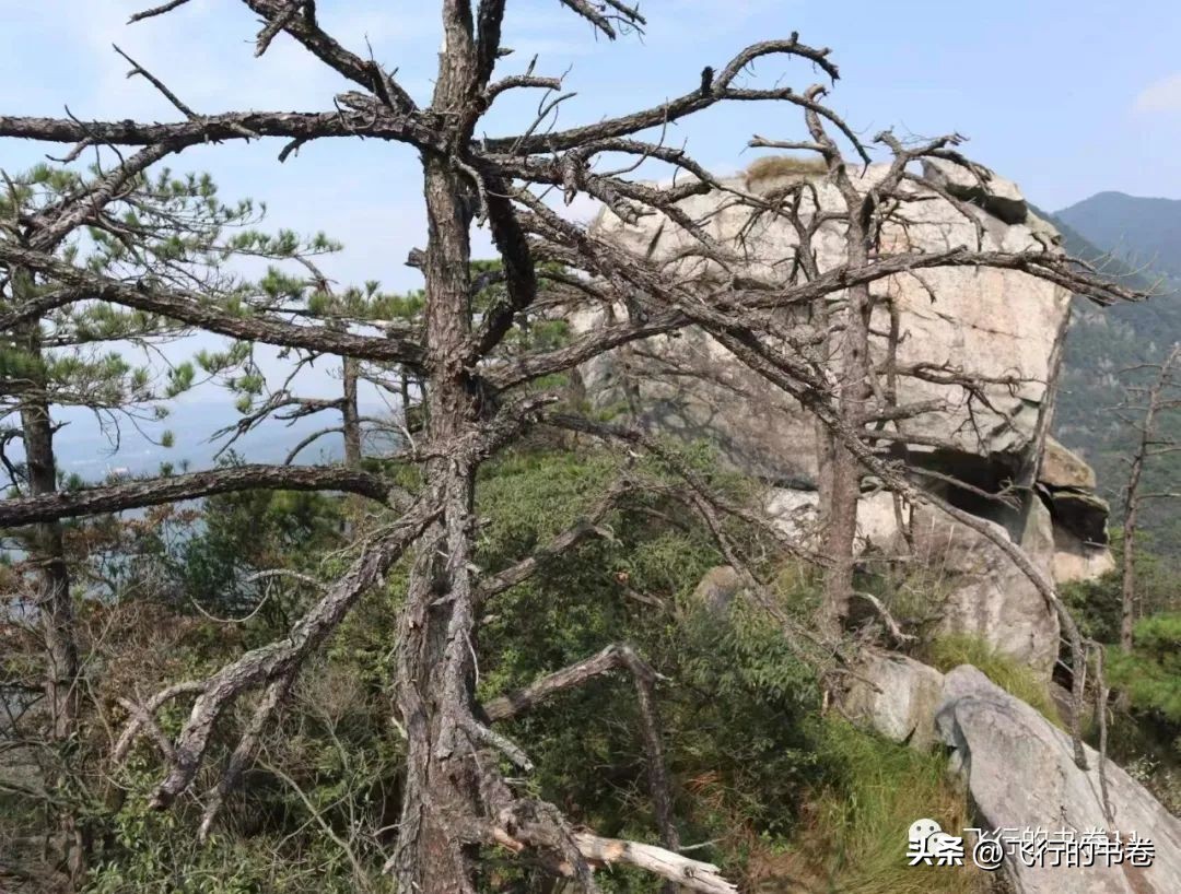 涅盘重生炒股实盘记录2020,11.11实盘炒股每日记录