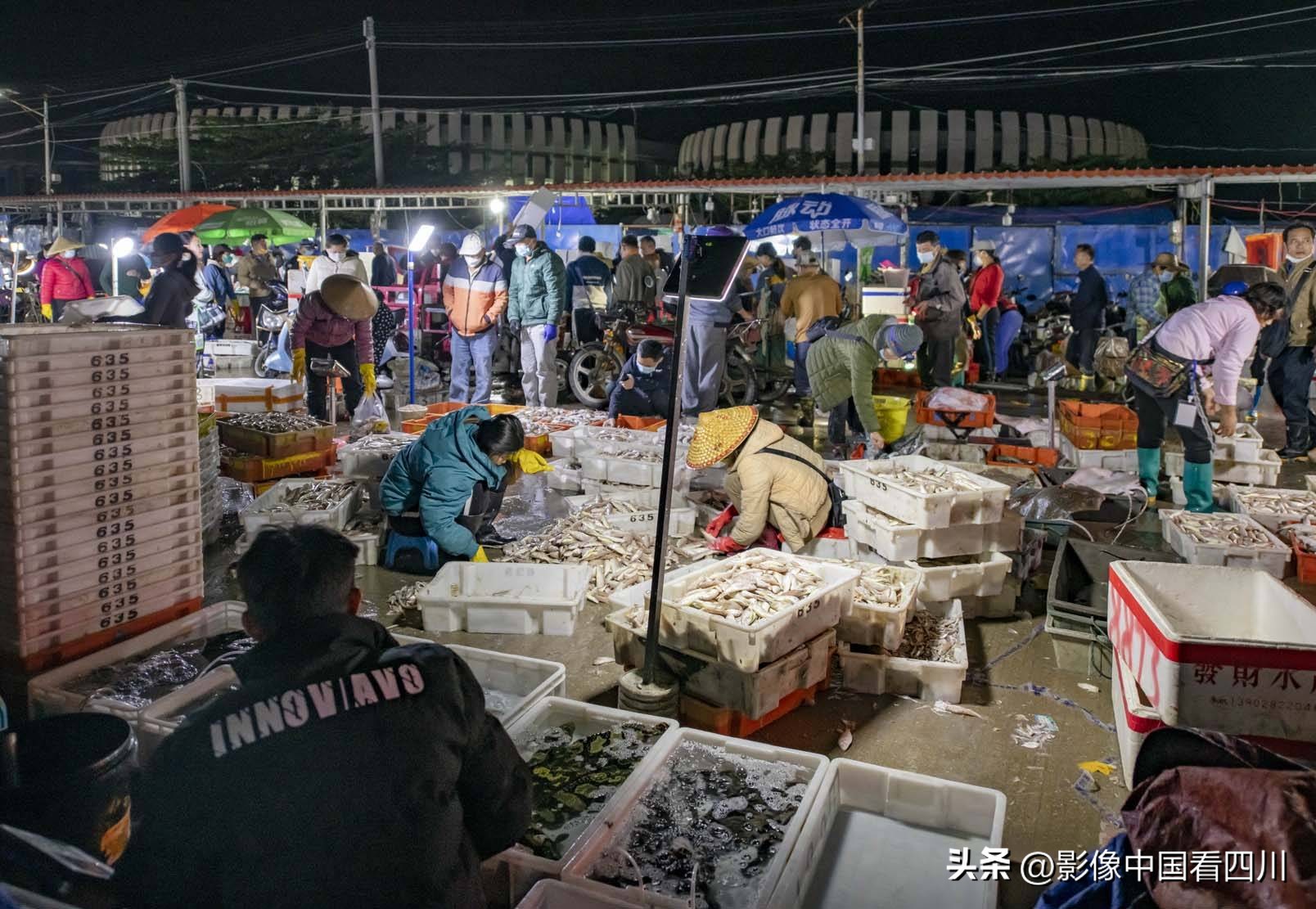 海南陵水新村疍家渔港,海南陵水水产市场