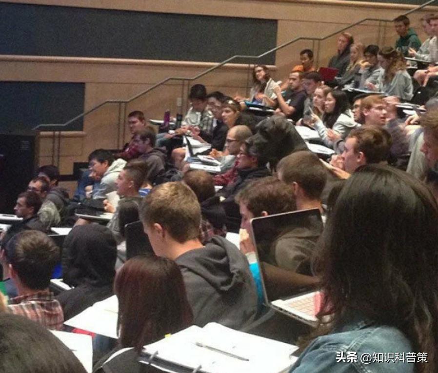 20张你必须要看的古怪老照片,20张照片看哭了你有勇气看完吗