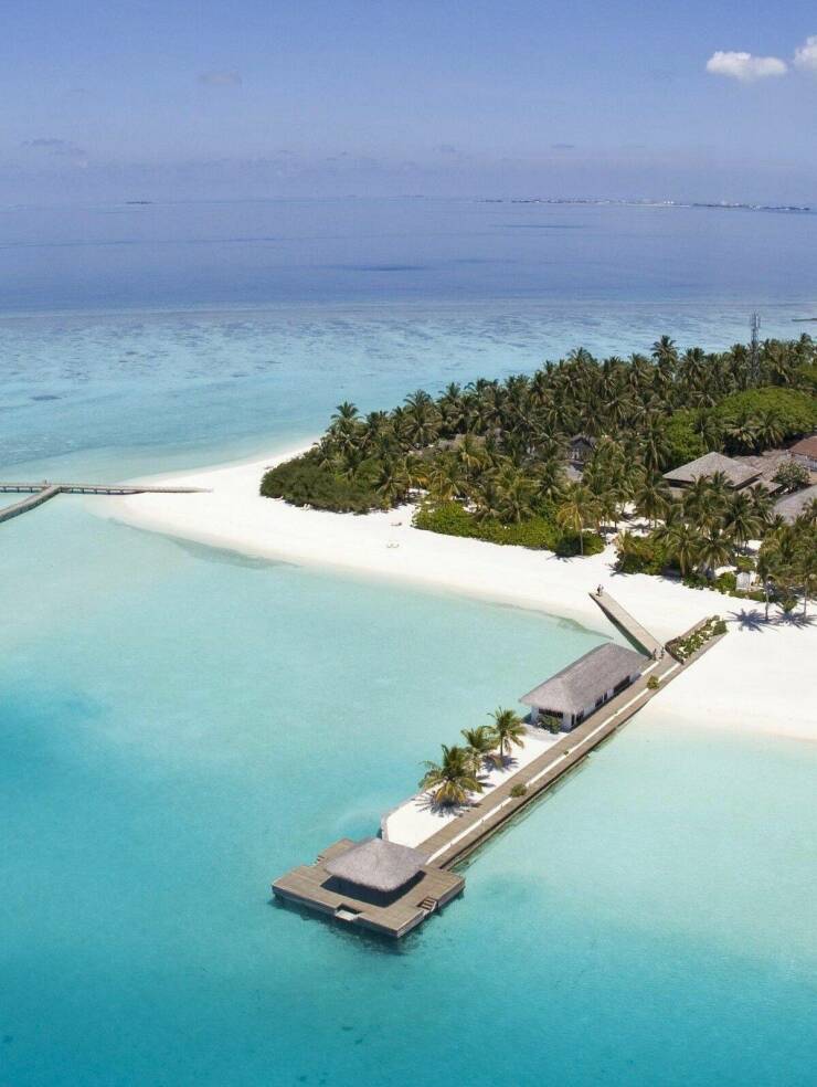 78个真实有趣的照片：山顶的足球场，老树与佛像，老司机脸部皮肤