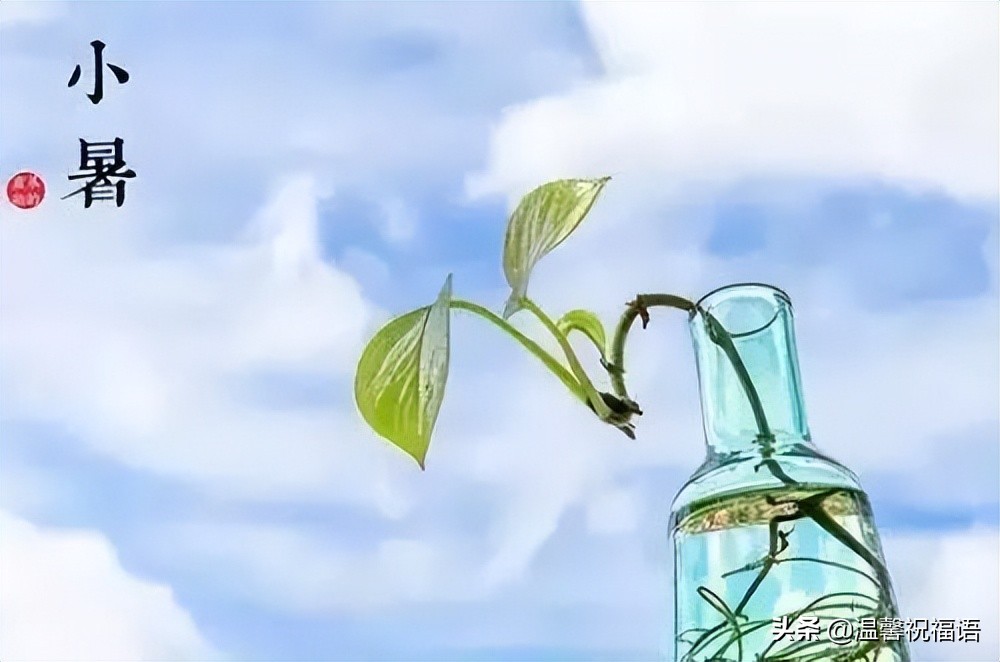 小暑节气问候语图片高清图文,小暑节气祝福语图片简短