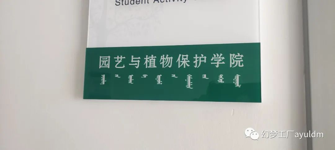 你好母校作文800字,你好母校作文