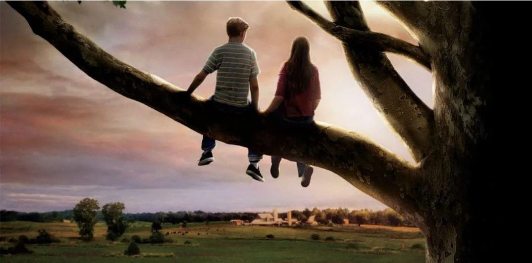 怦然心动家庭教育,怦然心动女孩对男孩说的话