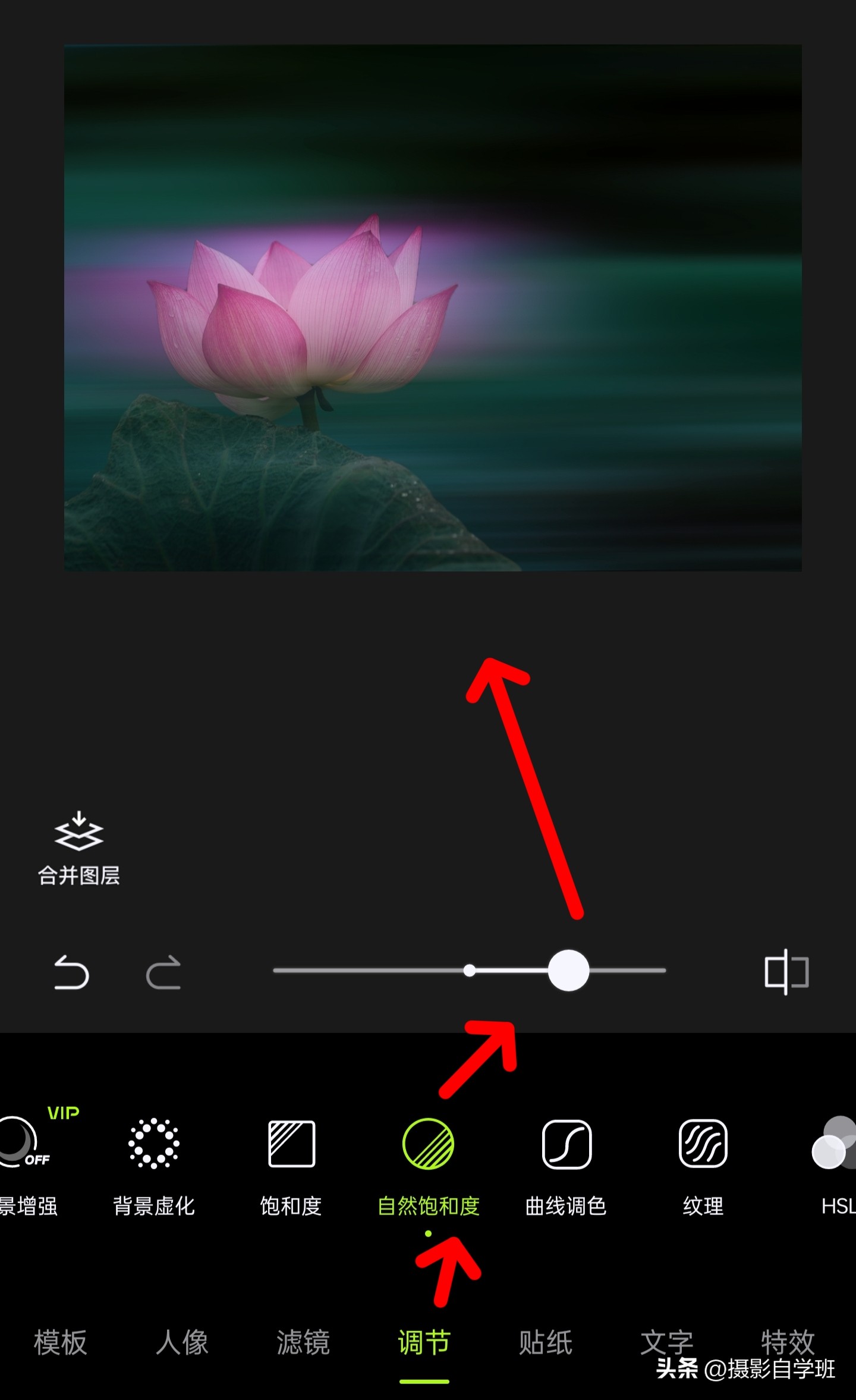 如何拍摄荷花多重曝光相片,如何拍好荷花逆光照片
