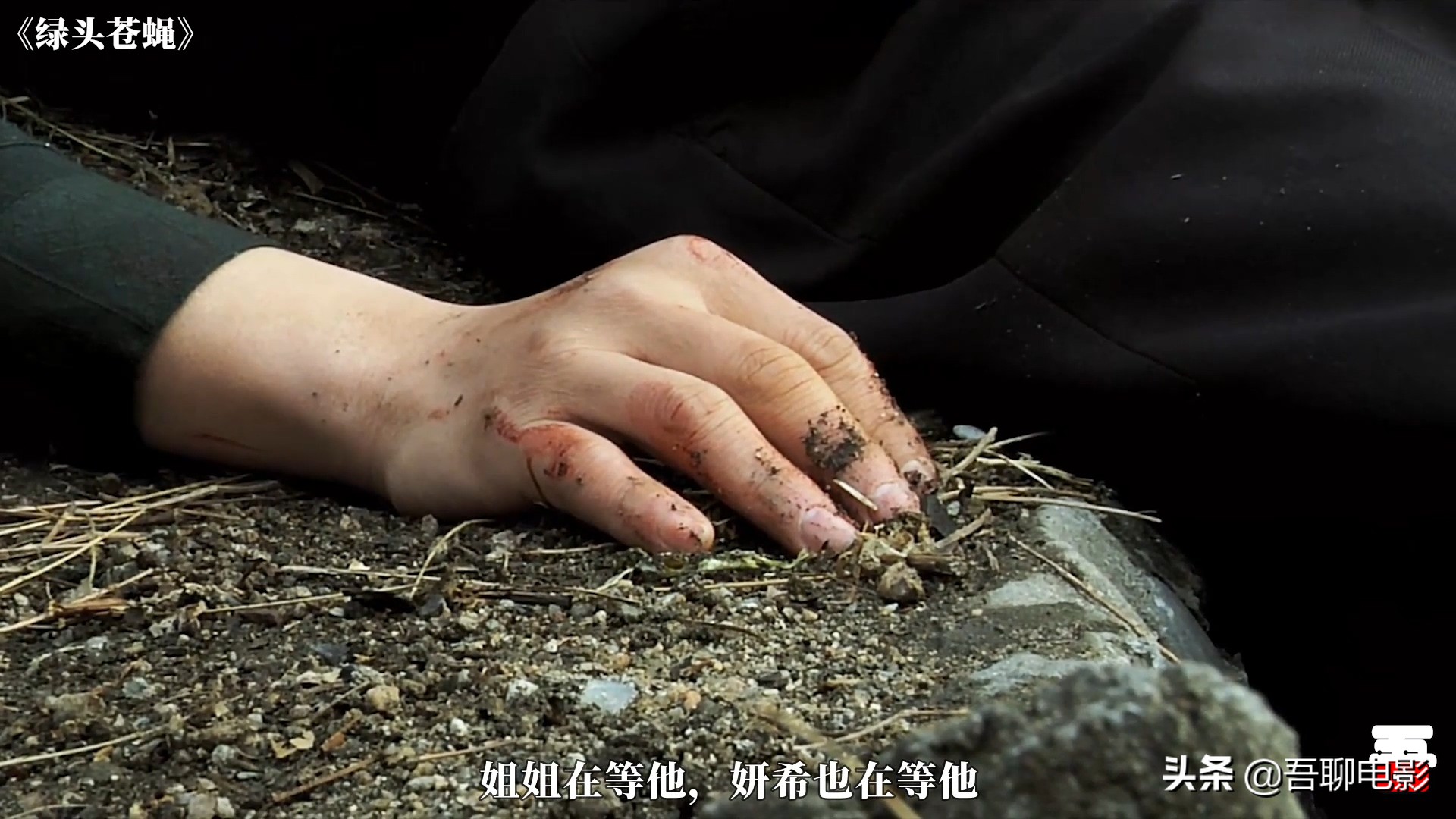 高中女生教混混重新做人，韩国剧情片《绿头苍蝇》，看完手痒痒