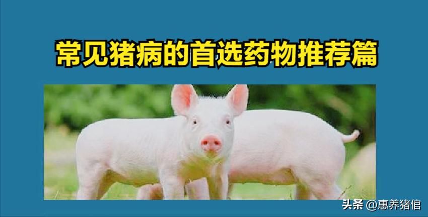 10种猪病图解,100种猪病防治