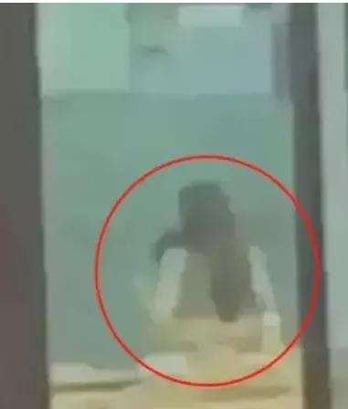 四川传媒学院被曝丑闻视频,四川传媒学院不雅事件后续