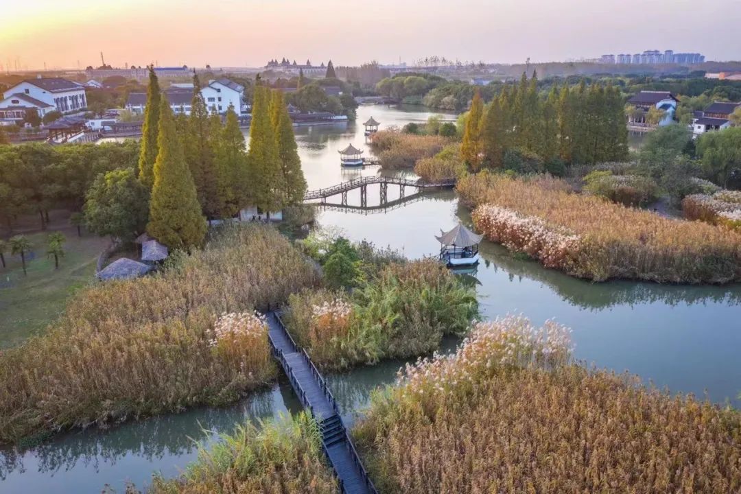 春来夏往，秋收冬藏，带你感受沙家浜的四季，别错过身边的美好