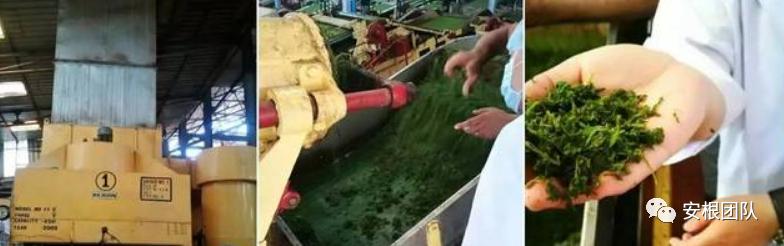 茶叶贸易与世界历史的关系,世界茶叶贸易境况