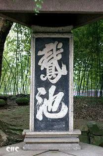 散文作诗,散文白鹅