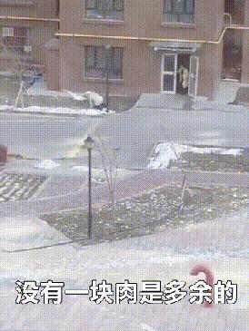 “姑娘，你知道衣服上的字是什么意思吗？”哈哈哈自信的姑娘最美