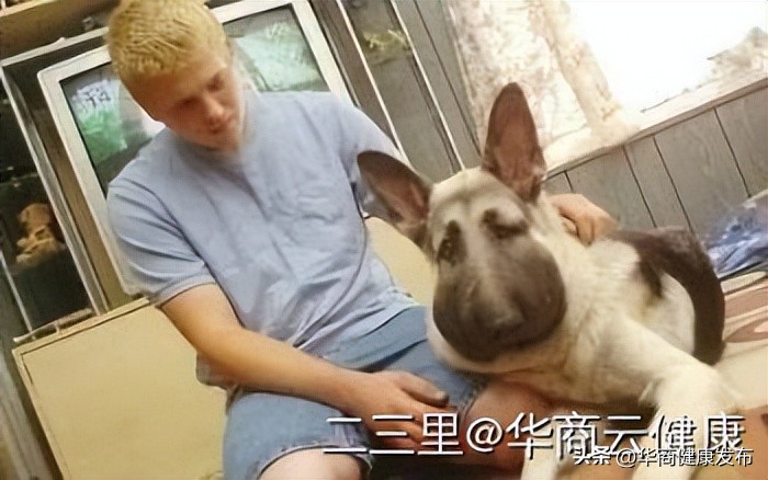 赏花的注意事项,赏花的小技巧