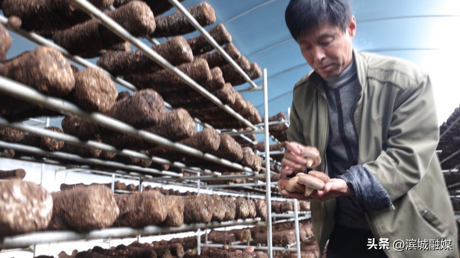 乡村振兴党建引领新做法人民日报,乡村振兴党建引领