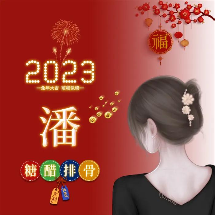 姓氏头像张女生专用喜庆点的,新年喜庆傅姓氏头像图片大全
