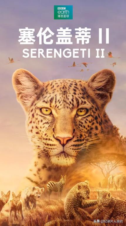 「新春收藏」一键可看风靡全网的年度十*纪大**录片