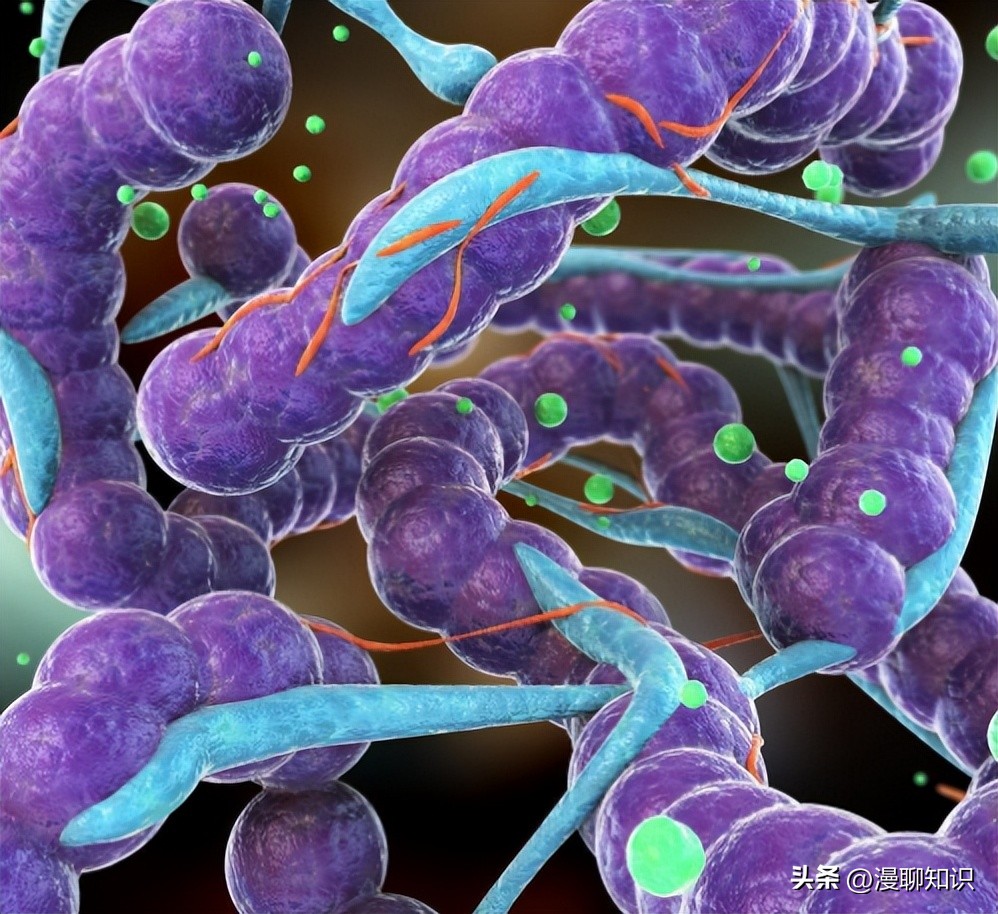 b族链球菌胎儿感染的概率多少,b群链球菌阴性孕妇